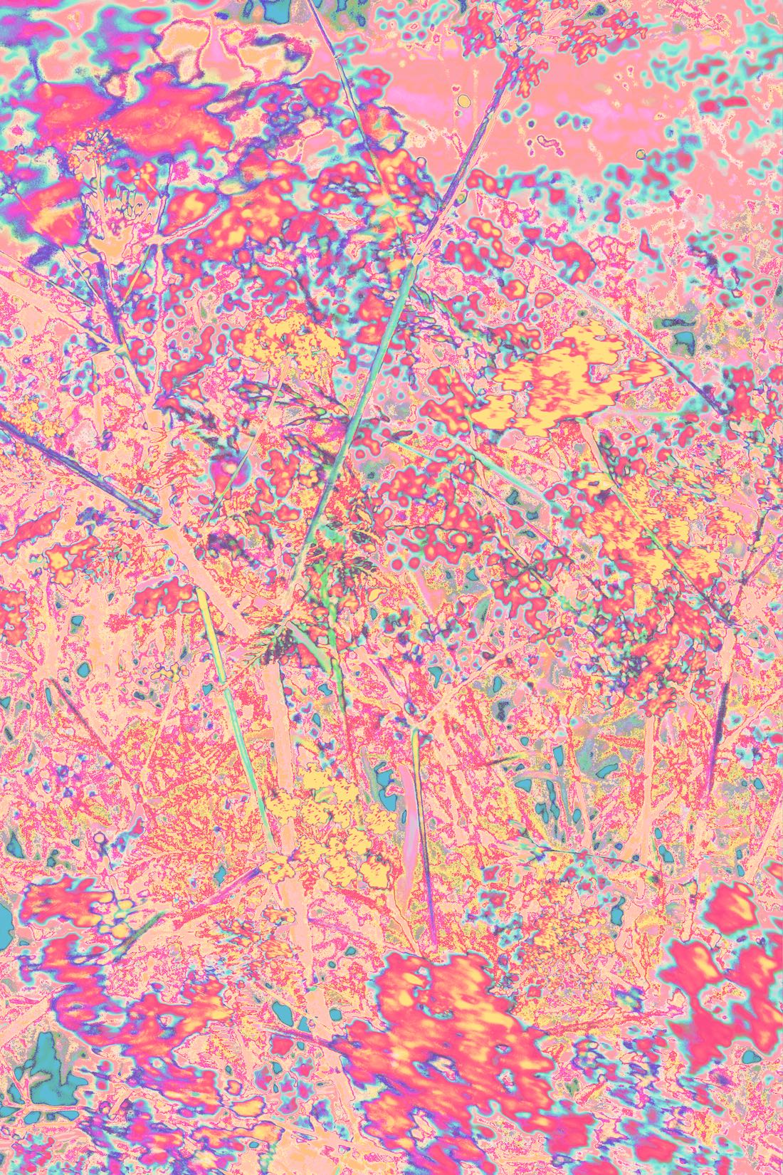 Patchwork