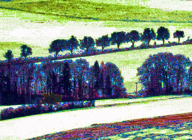 Au loin de près I 