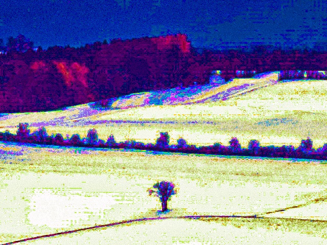 Au loin de près II 