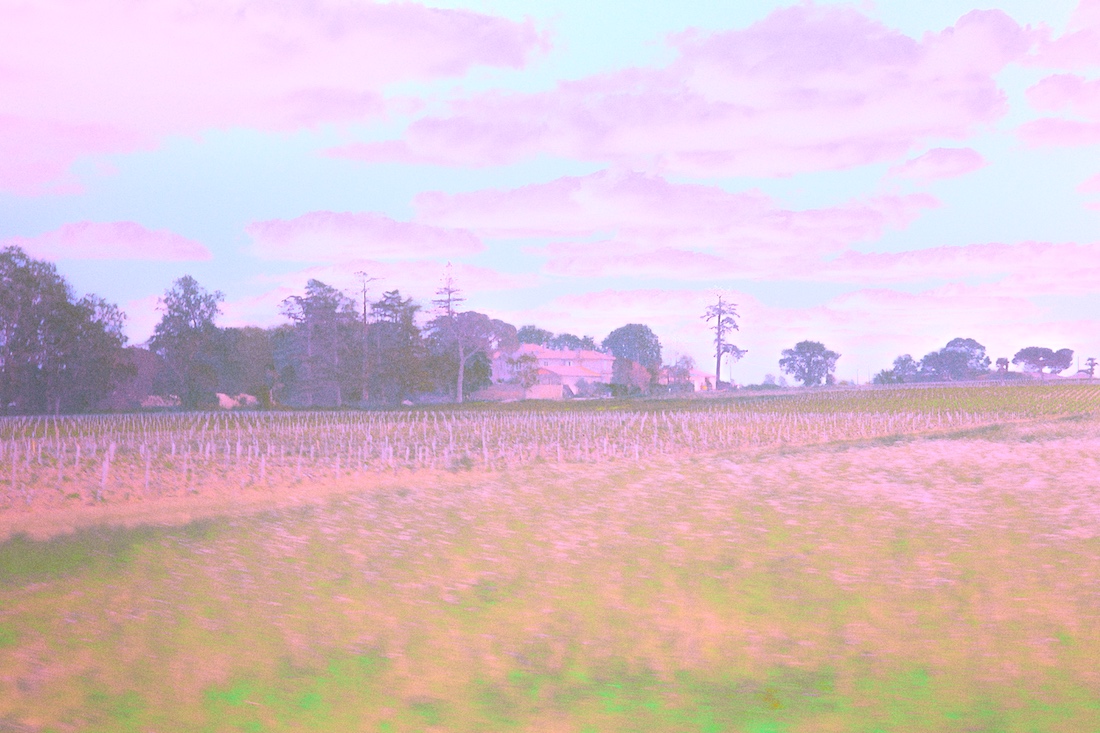 Margaux IV