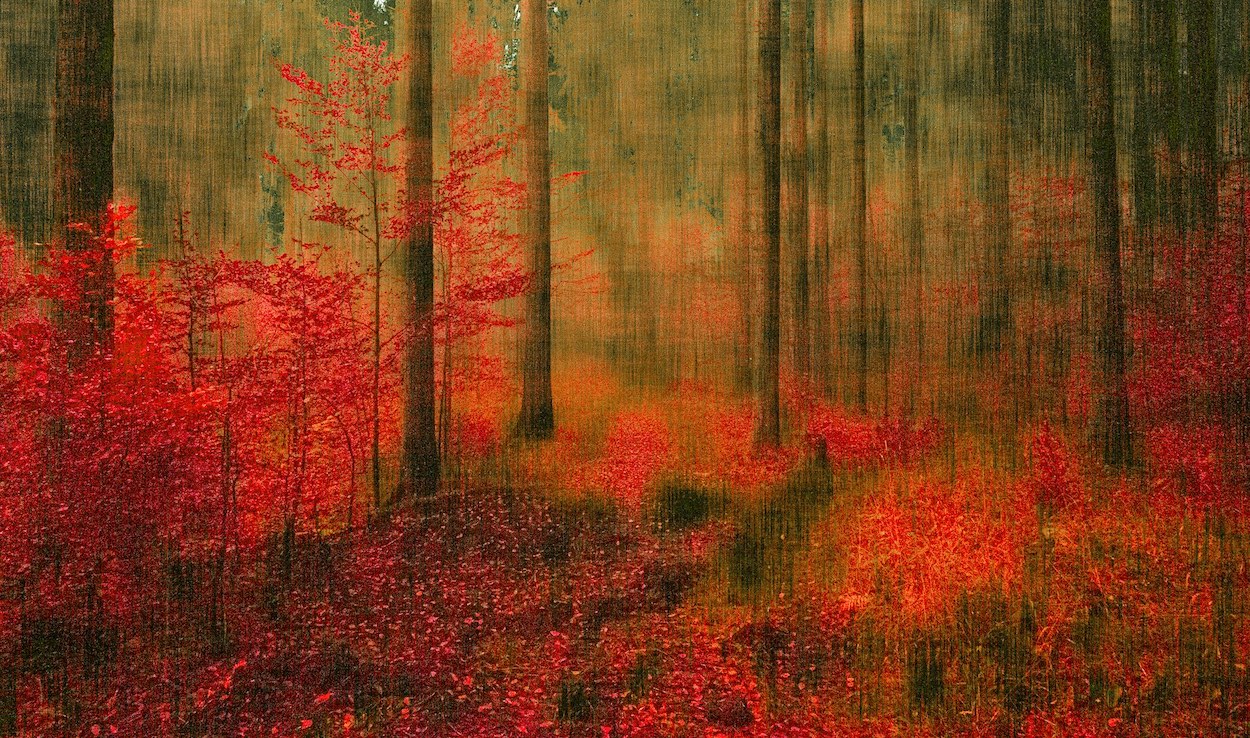 Automne 