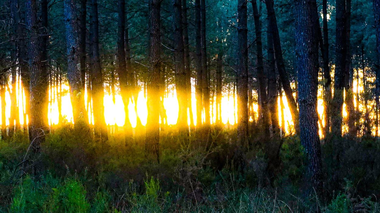  Divine lumière 