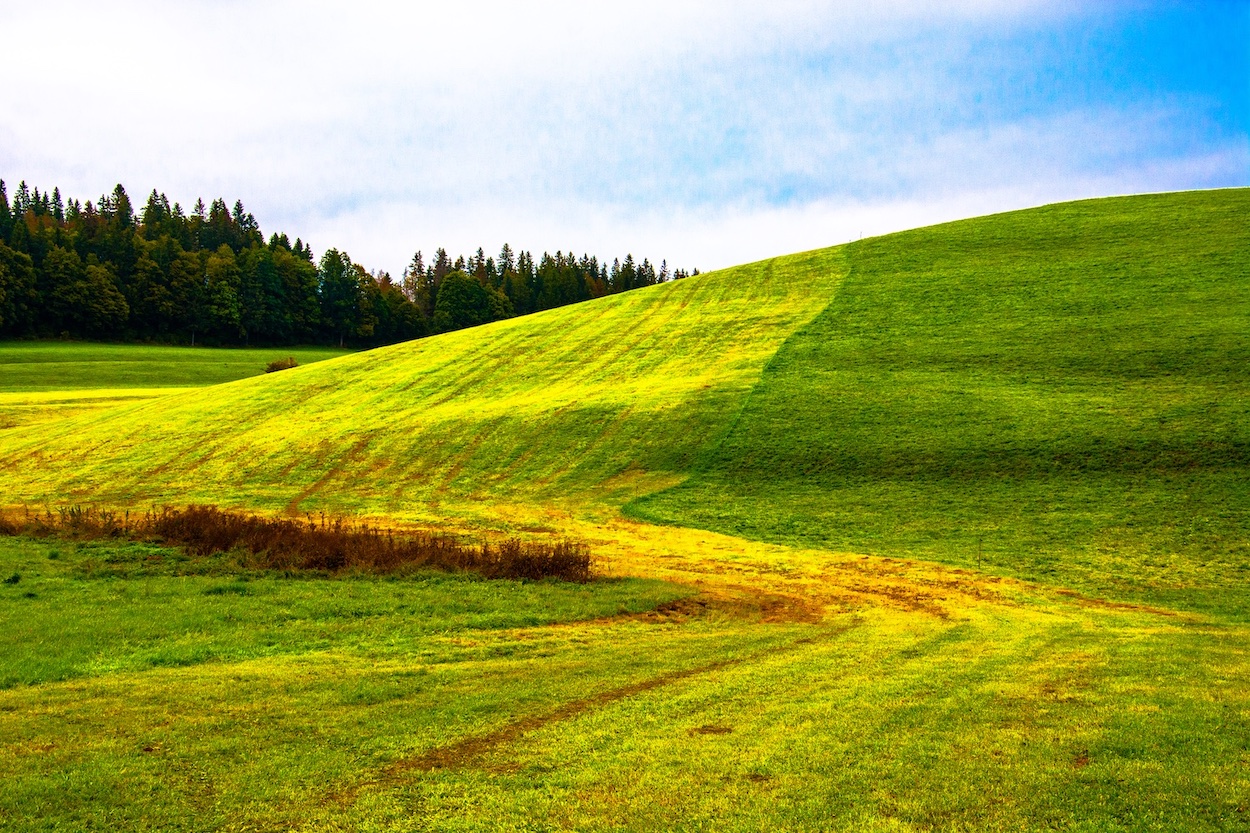  computer Landscape 