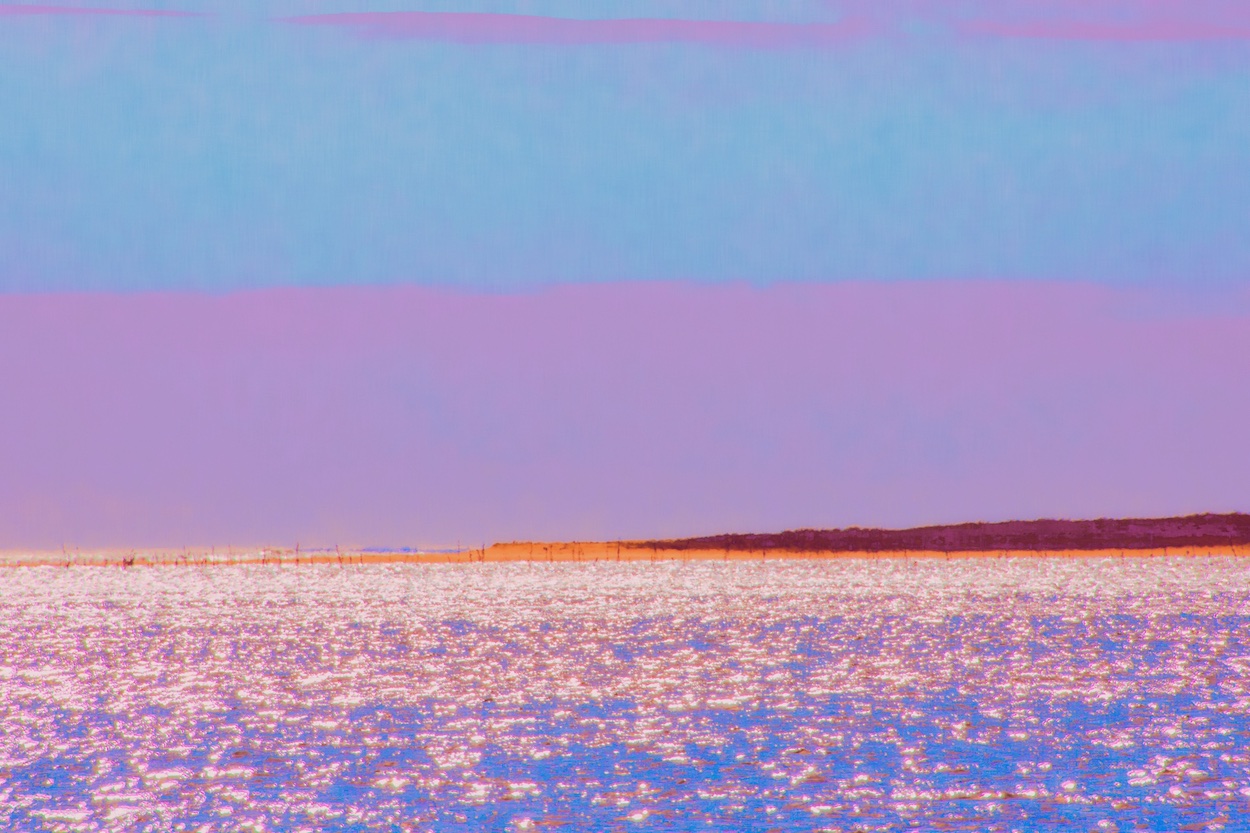 Le Banc d'Arguin