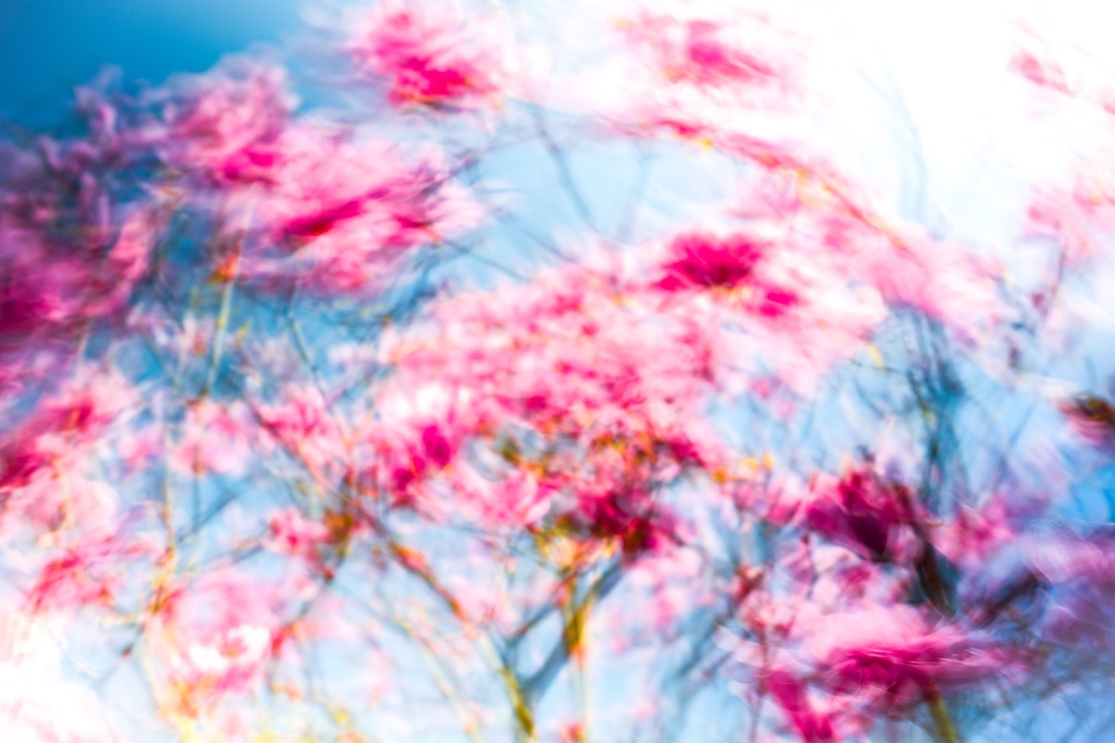 air de printemps I