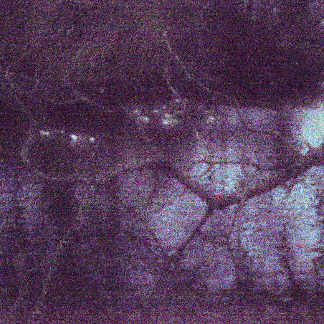 bruit numérique II 