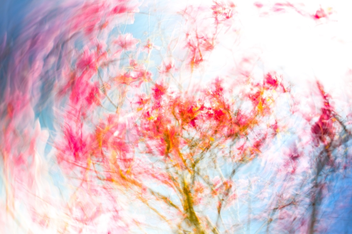 air de printemps II